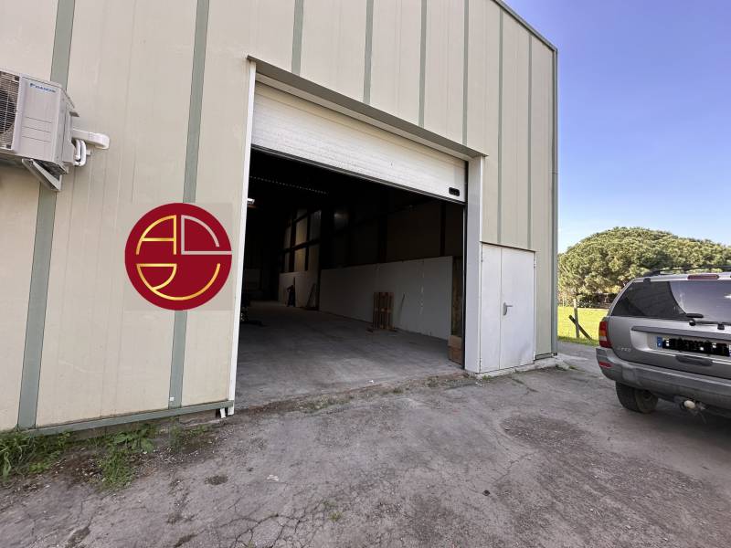 TOULOUSE NORD EST - LIMITE BORDEROUGE - LOCATION LOCAL D'ACTIVITE 440 m²