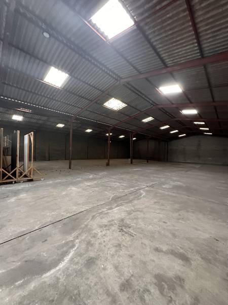 entrepôt à louer st Alban 1200 m²