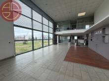 entrepôt avec showroom plaisance du touch